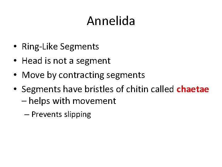 Annelida • • Ring-Like Segments Head is not a segment Move by contracting segments