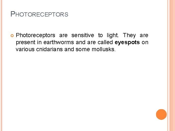 PHOTORECEPTORS Photoreceptors are sensitive to light. They are present in earthworms and are called