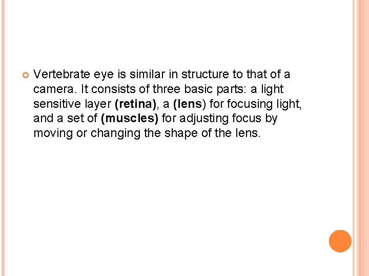  Vertebrate eye is similar in structure to that of a camera. It consists