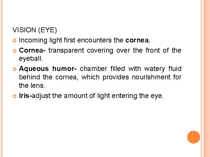 VISION (EYE) Incoming light first encounters the cornea. Cornea- transparent covering over the front