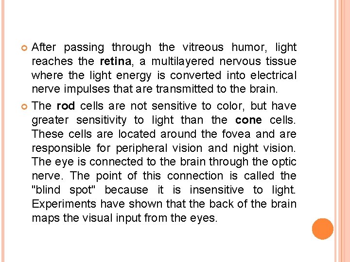 After passing through the vitreous humor, light reaches the retina, a multilayered nervous tissue