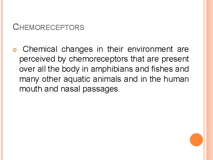 CHEMORECEPTORS Chemical changes in their environment are perceived by chemoreceptors that are present over