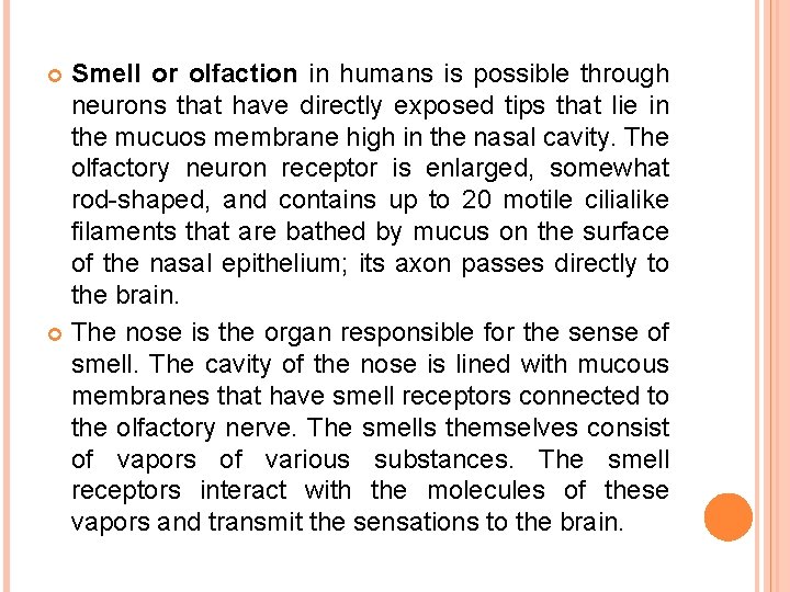 Smell or olfaction in humans is possible through neurons that have directly exposed tips