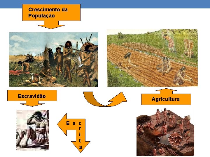 Crescimento da População Escravidão Agricultura E s c r i t a 