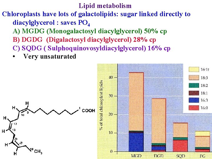 Lipid metabolism Chloroplasts have lots of galactolipids: sugar linked directly to diacylglycerol : saves