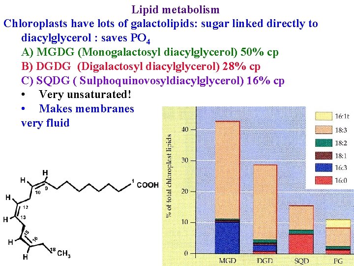 Lipid metabolism Chloroplasts have lots of galactolipids: sugar linked directly to diacylglycerol : saves