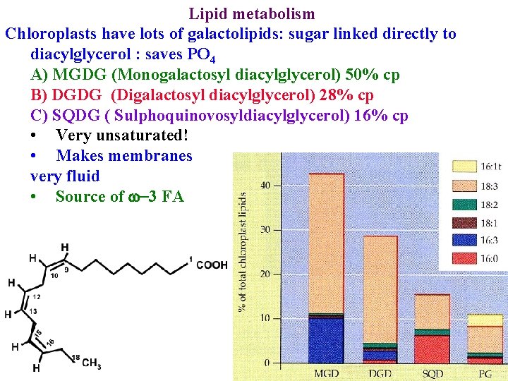 Lipid metabolism Chloroplasts have lots of galactolipids: sugar linked directly to diacylglycerol : saves