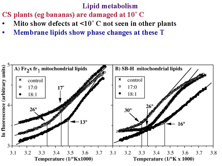 Lipid metabolism CS plants (eg bananas) are damaged at 10˚ C • Mito show