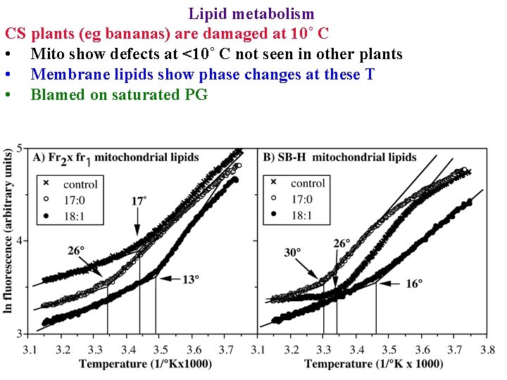 Lipid metabolism CS plants (eg bananas) are damaged at 10˚ C • Mito show
