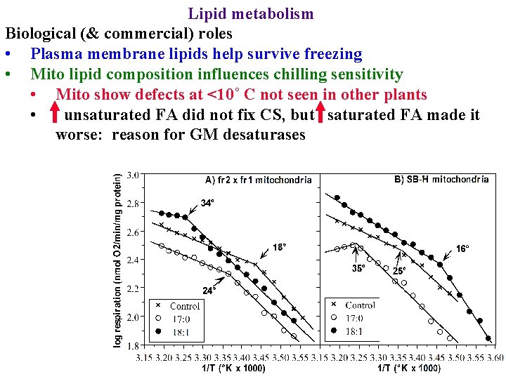 Lipid metabolism Biological (& commercial) roles • Plasma membrane lipids help survive freezing •