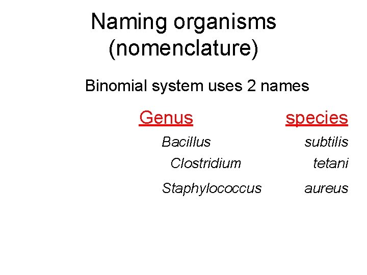Naming organisms (nomenclature) Binomial system uses 2 names Genus Bacillus Clostridium Staphylococcus species subtilis