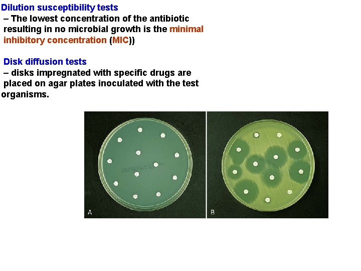 Dilution susceptibility tests – The lowest concentration of the antibiotic resulting in no microbial