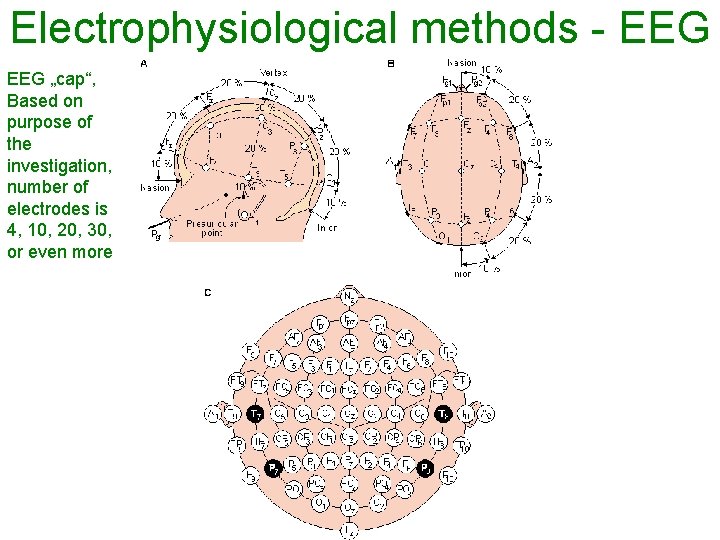 Electrophysiological methods - EEG „cap“, Based on purpose of the investigation, number of electrodes