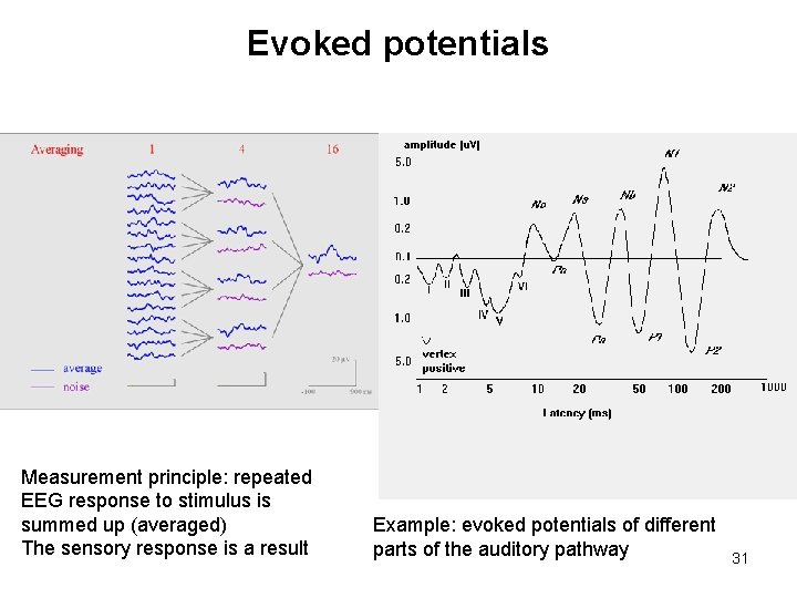 Evoked potentials Measurement principle: repeated EEG response to stimulus is summed up (averaged) The