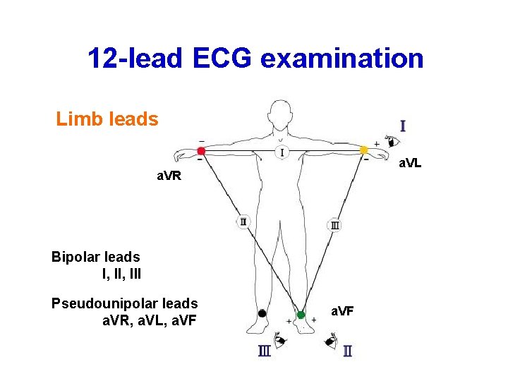 12 -lead ECG examination Limb leads a. VL a. VR Bipolar leads I, III