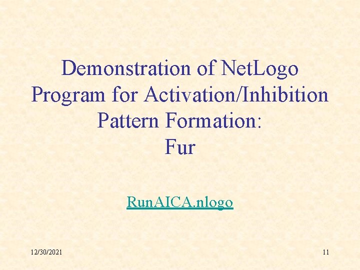 Demonstration of Net. Logo Program for Activation/Inhibition Pattern Formation: Fur Run. AICA. nlogo 12/30/2021