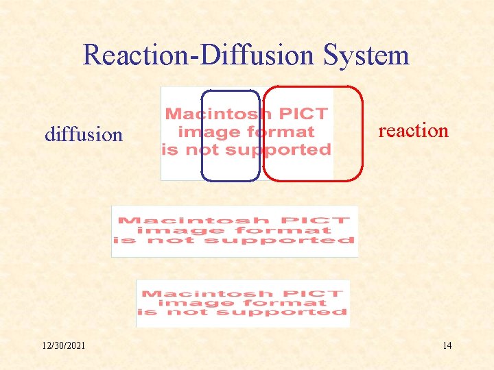 Reaction-Diffusion System diffusion 12/30/2021 reaction 14 