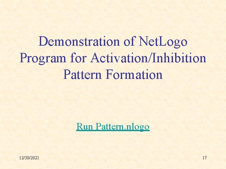 Demonstration of Net. Logo Program for Activation/Inhibition Pattern Formation Run Pattern. nlogo 12/30/2021 17