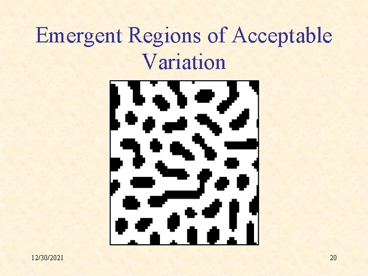 Emergent Regions of Acceptable Variation 12/30/2021 20 