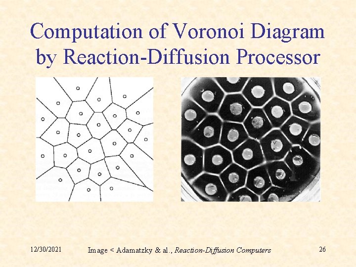 Computation of Voronoi Diagram by Reaction-Diffusion Processor 12/30/2021 Image < Adamatzky & al. ,