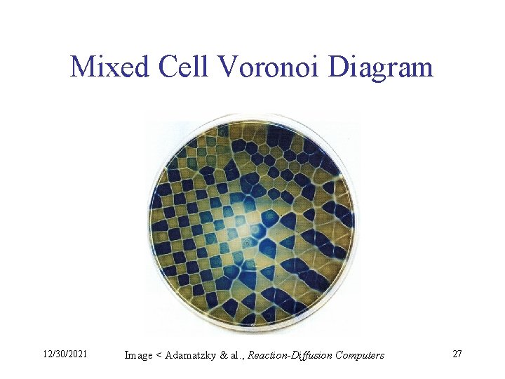 Mixed Cell Voronoi Diagram 12/30/2021 Image < Adamatzky & al. , Reaction-Diffusion Computers 27