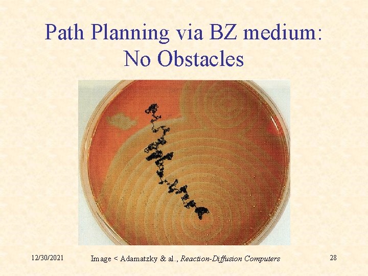 Path Planning via BZ medium: No Obstacles 12/30/2021 Image < Adamatzky & al. ,