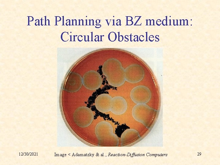 Path Planning via BZ medium: Circular Obstacles 12/30/2021 Image < Adamatzky & al. ,