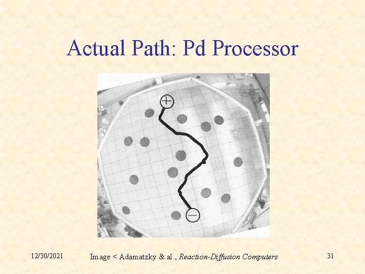 Actual Path: Pd Processor 12/30/2021 Image < Adamatzky & al. , Reaction-Diffusion Computers 31