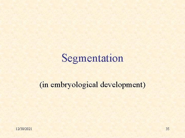 Segmentation (in embryological development) 12/30/2021 35 