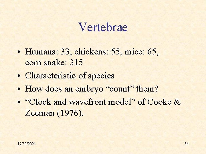 Vertebrae • Humans: 33, chickens: 55, mice: 65, corn snake: 315 • Characteristic of