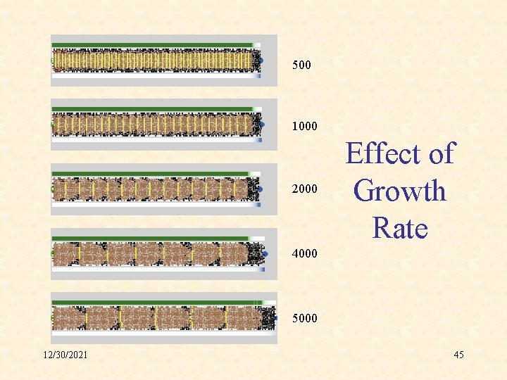 500 1000 2000 Effect of Growth Rate 4000 5000 12/30/2021 45 