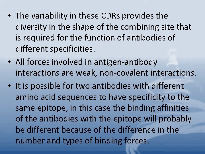  • The variability in these CDRs provides the diversity in the shape of