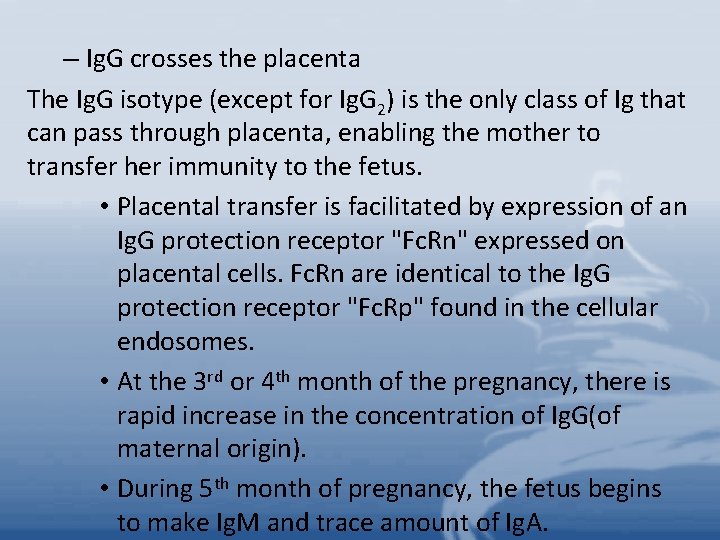 – Ig. G crosses the placenta The Ig. G isotype (except for Ig. G