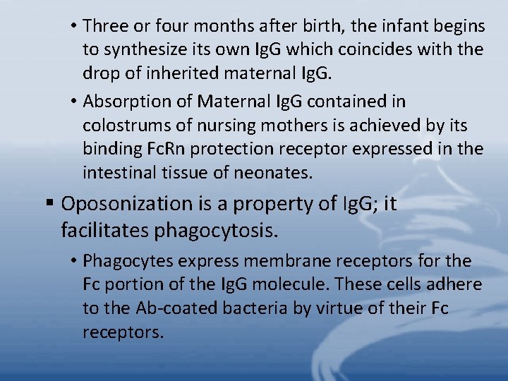  • Three or four months after birth, the infant begins to synthesize its