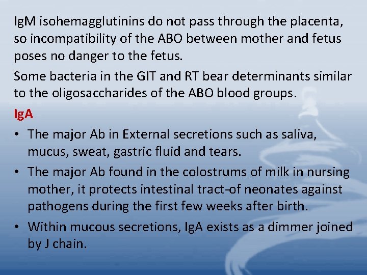 Ig. M isohemagglutinins do not pass through the placenta, so incompatibility of the ABO