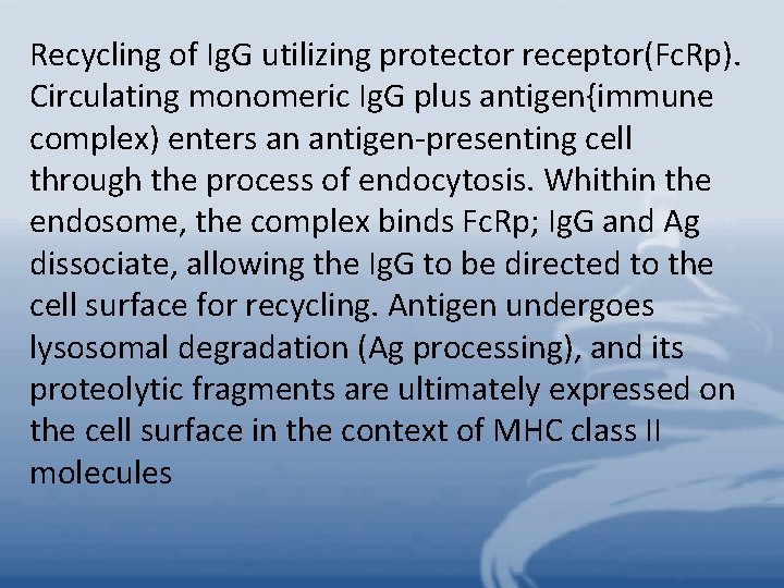 Recycling of Ig. G utilizing protector receptor(Fc. Rp). Circulating monomeric Ig. G plus antigen{immune
