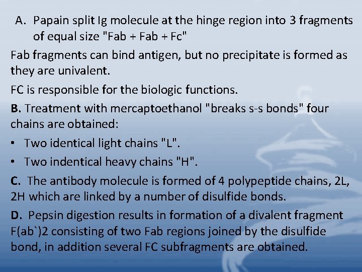 A. Papain split Ig molecule at the hinge region into 3 fragments of equal