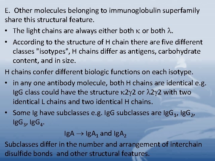 E. Other molecules belonging to immunoglobulin superfamily share this structural feature. • The light