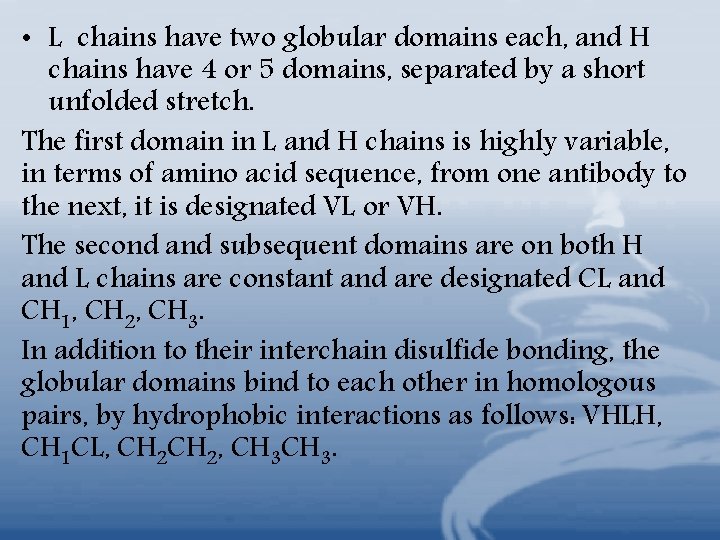  • L chains have two globular domains each, and H chains have 4