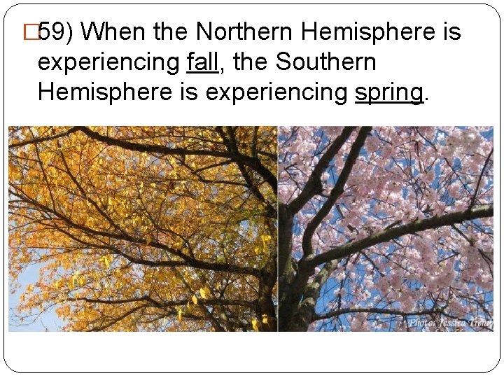 � 59) When the Northern Hemisphere is experiencing fall, the Southern Hemisphere is experiencing