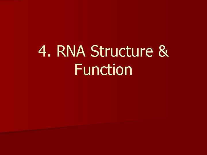 4. RNA Structure & Function 