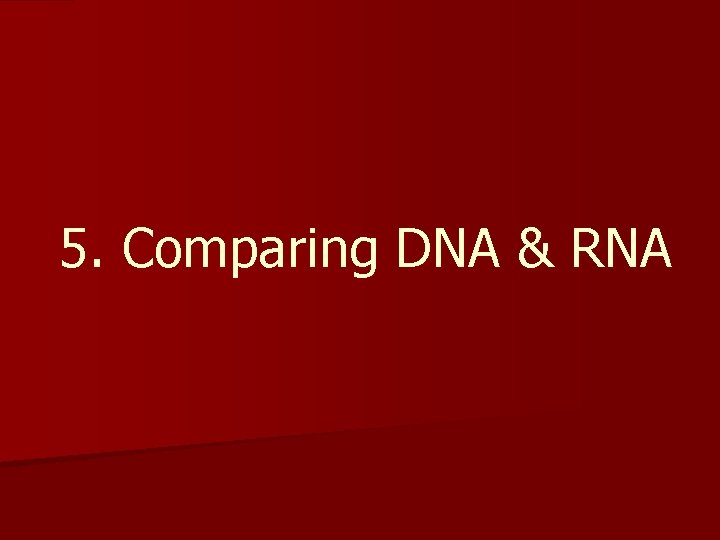 5. Comparing DNA & RNA 