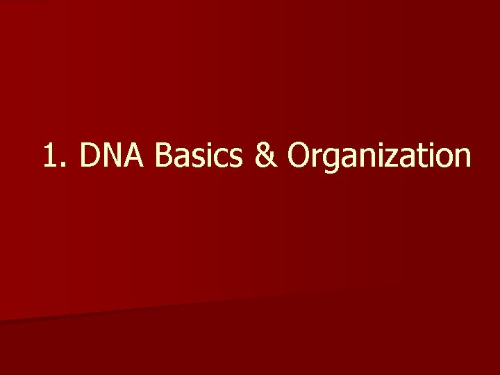 1. DNA Basics & Organization 