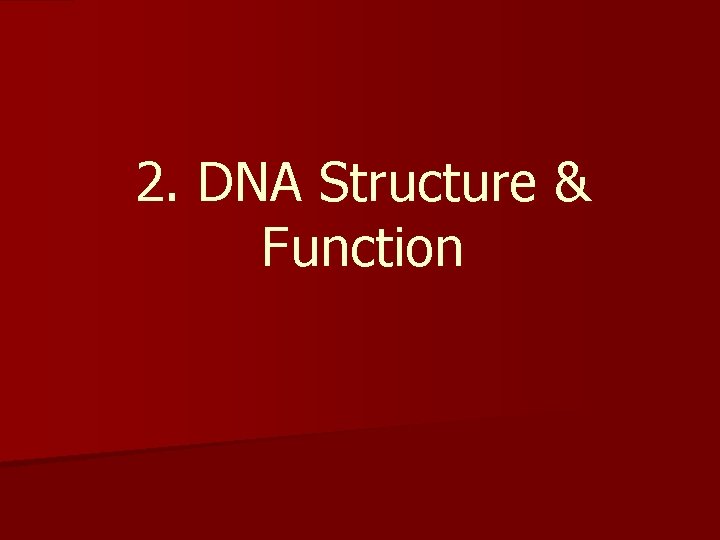 2. DNA Structure & Function 