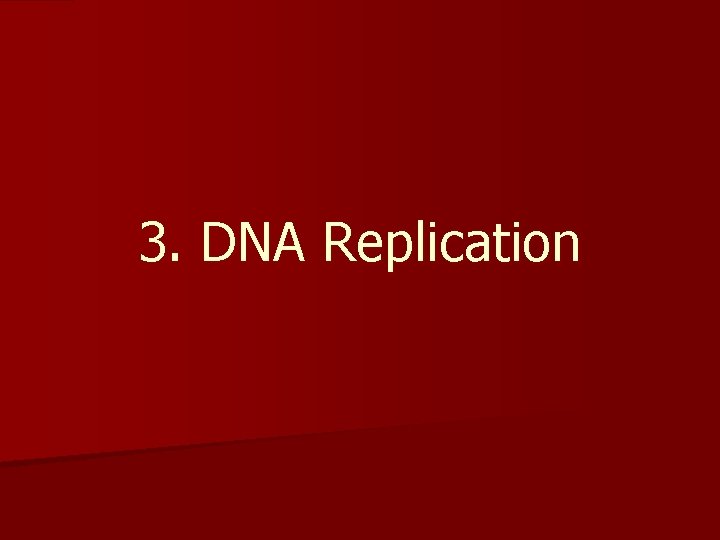 3. DNA Replication 