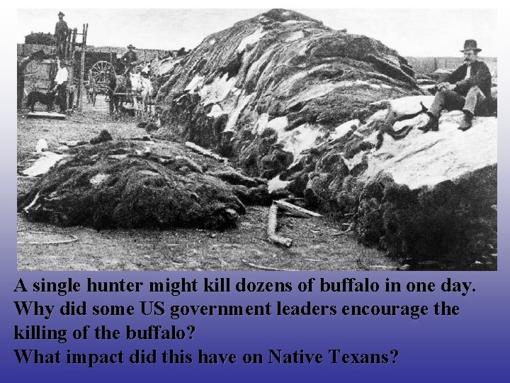 A single hunter might kill dozens of buffalo in one day. Why did some