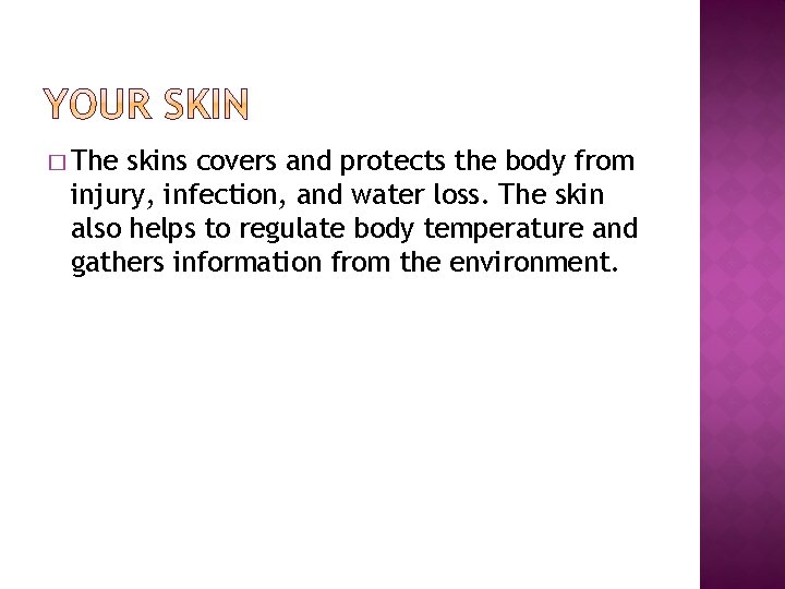� The skins covers and protects the body from injury, infection, and water loss.