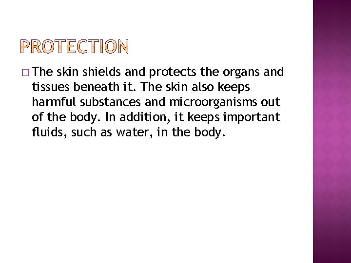 � The skin shields and protects the organs and tissues beneath it. The skin