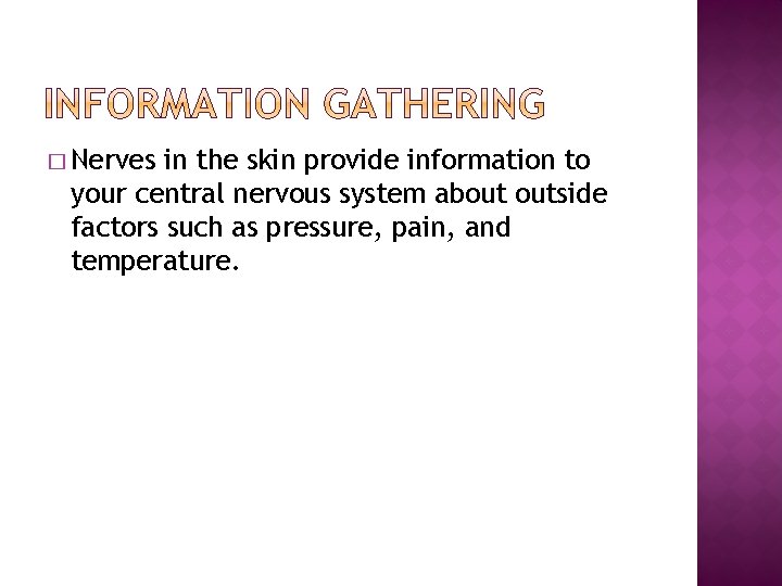 � Nerves in the skin provide information to your central nervous system about outside