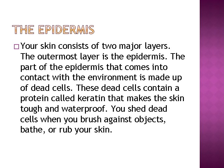 � Your skin consists of two major layers. The outermost layer is the epidermis.